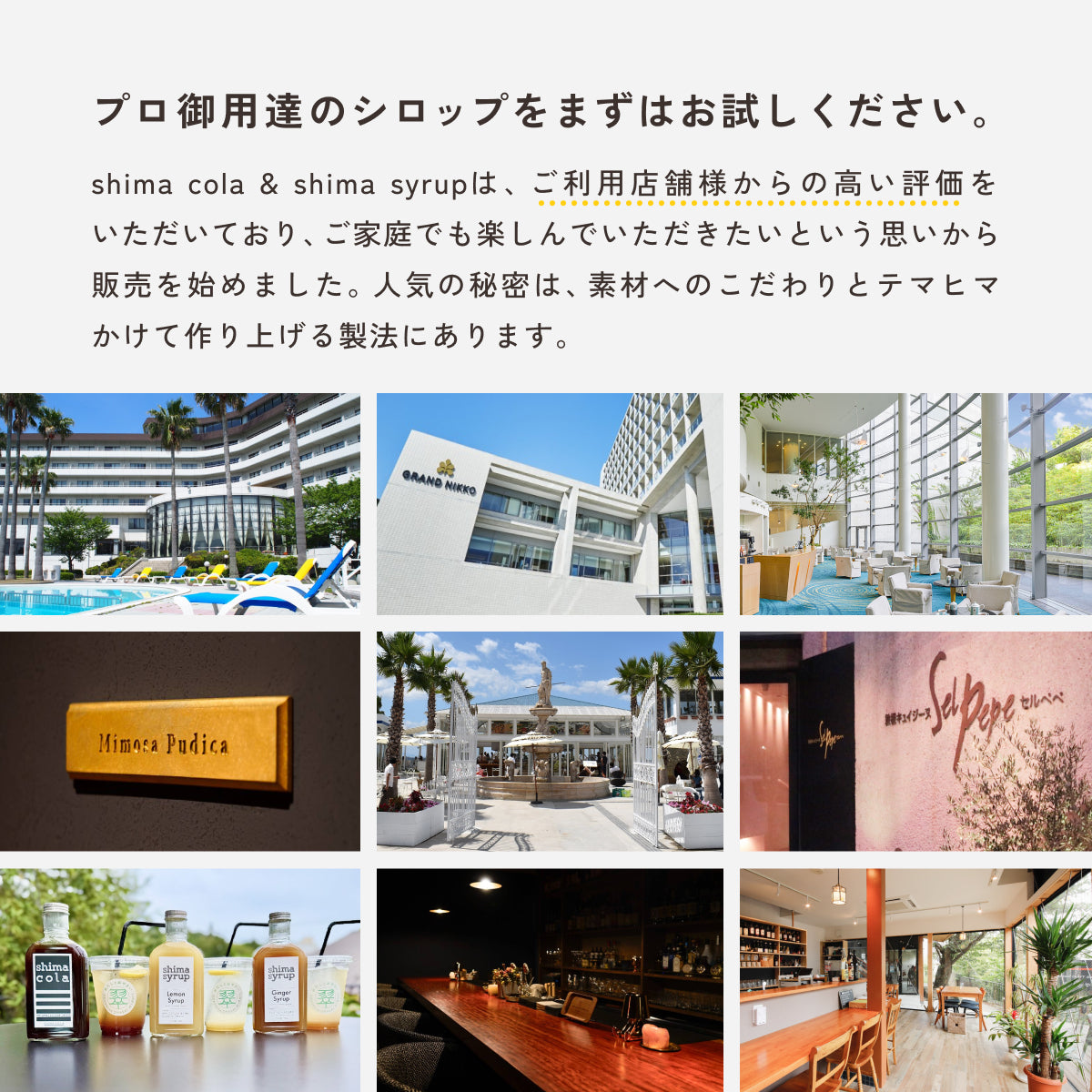 【ギフトBOX付】3種の味が試せるお得なお試しセット 送料無料